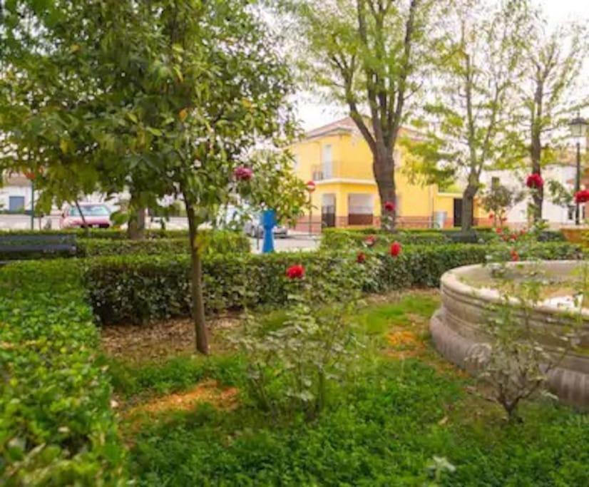 Casa Pablo -Granada- Villa Ngoại thất bức ảnh